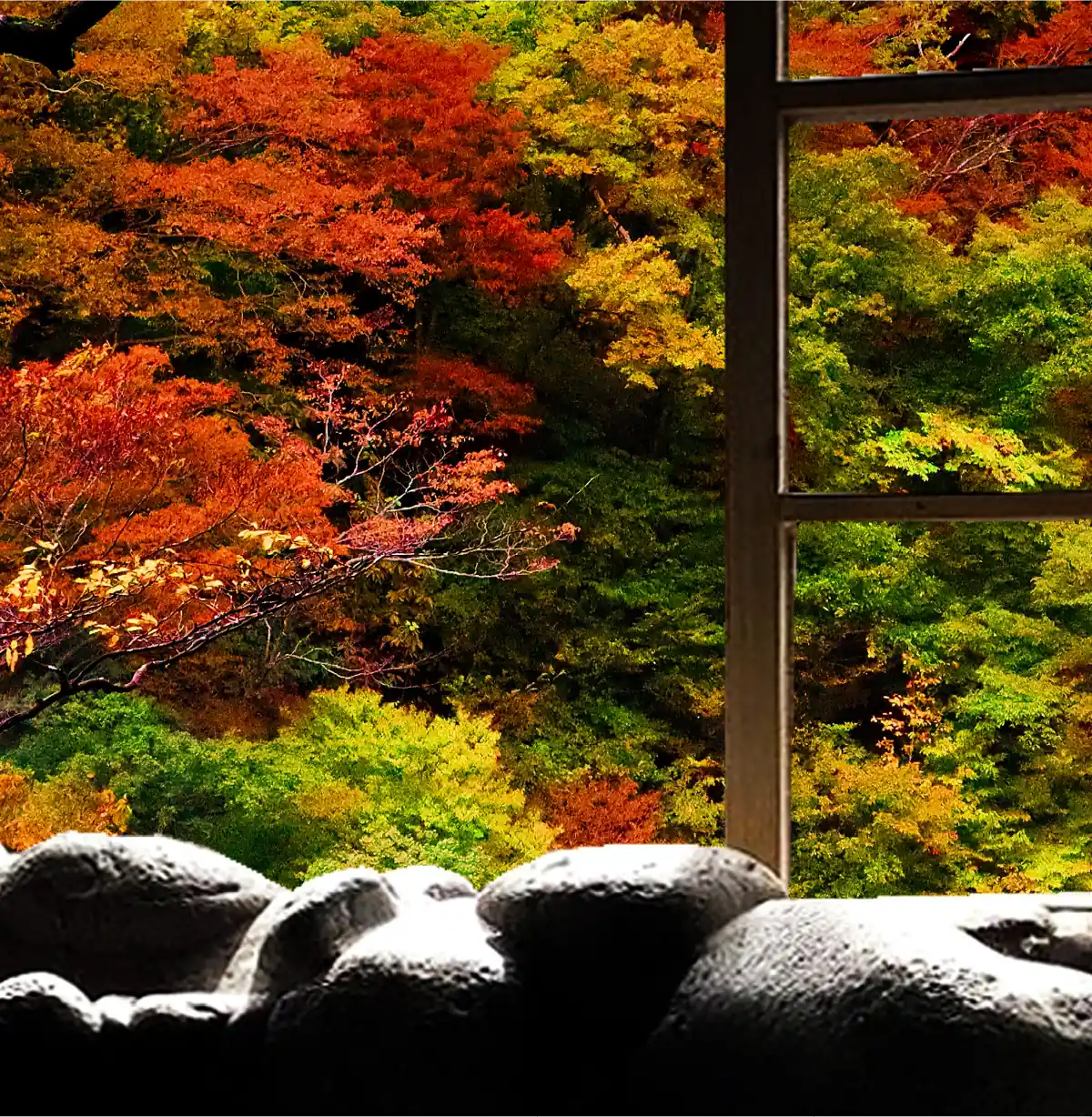 秋の写真